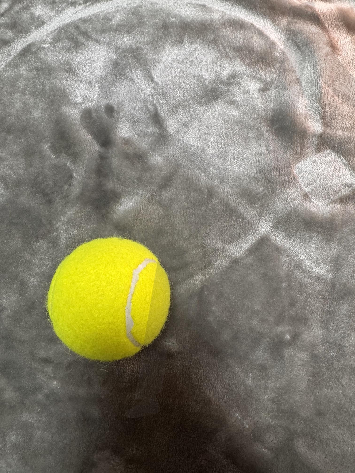 Single Tennis Ball on Soft Grey Background – Minimal Sports Concept | Tennis, tennis ball, Sport, exercise, practice, hobby, minimal, copy space, lifestyle, competition, 테니스, 테니스공 | 스탠바이 STANDBUY 디지털 콘텐츠
