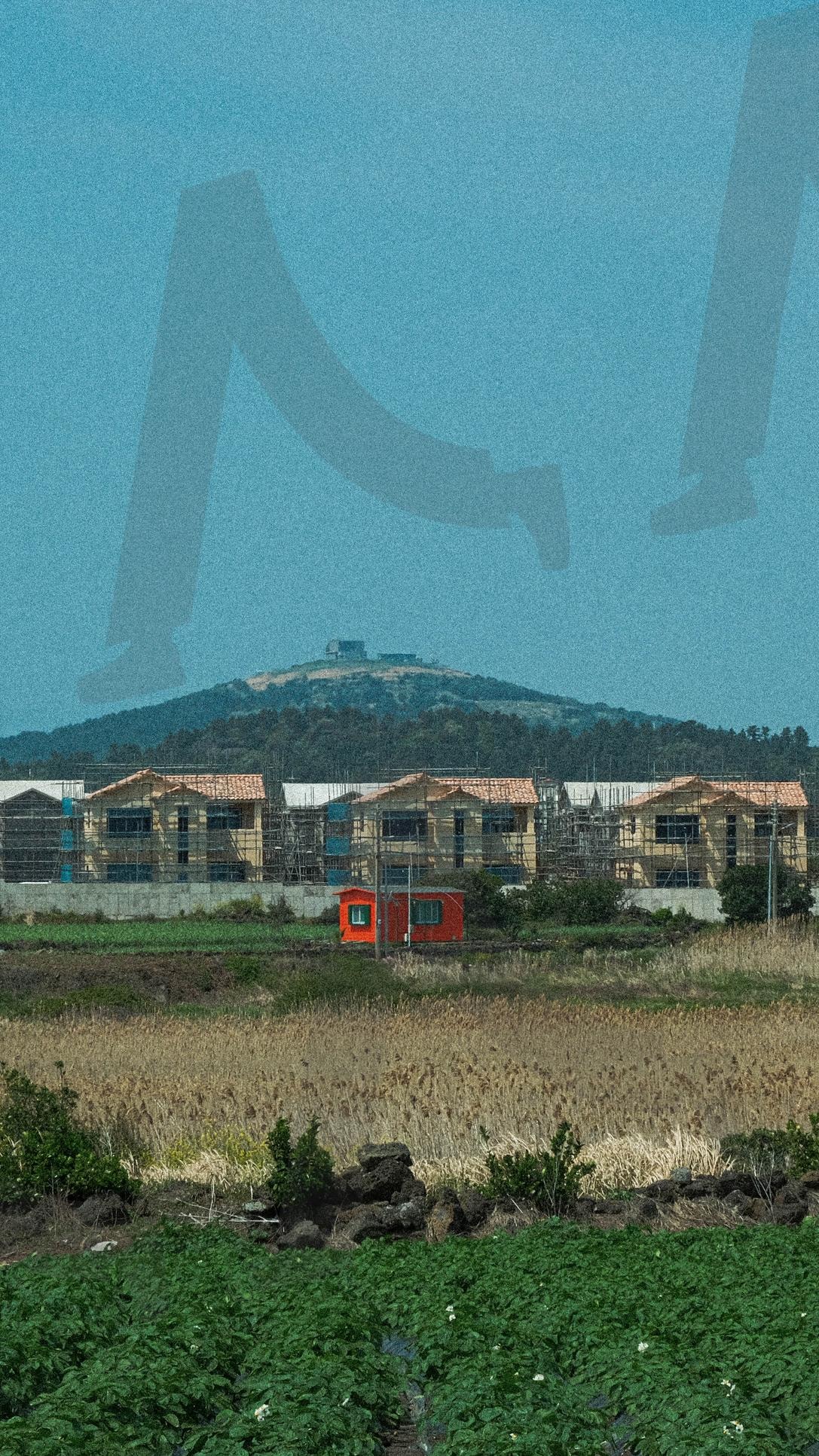 제주에서 길을 걷다가 | 제주도, 제주, 대한민국, 후지필름, 배경화면, 감성배경화면, 고화질배경화면 | 스탠바이 STANDBUY 디지털 콘텐츠