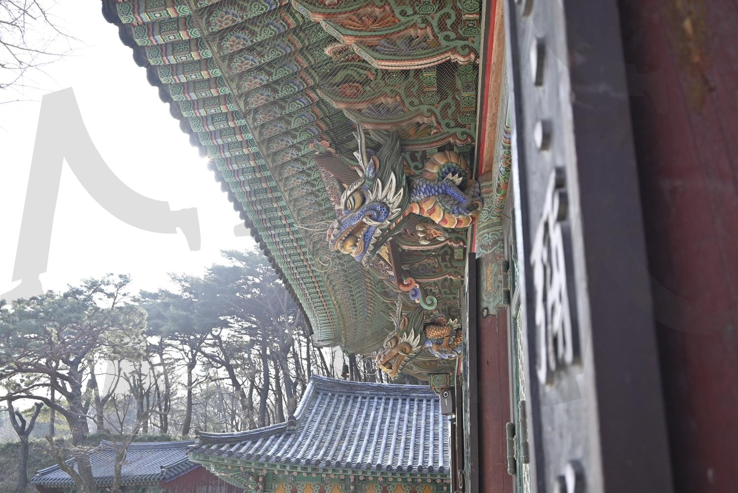 선암사 대웅전 | 부산, 당감동, 선암사, 대웅전, 용머리 | 스탠바이 STANDBUY 디지털 콘텐츠