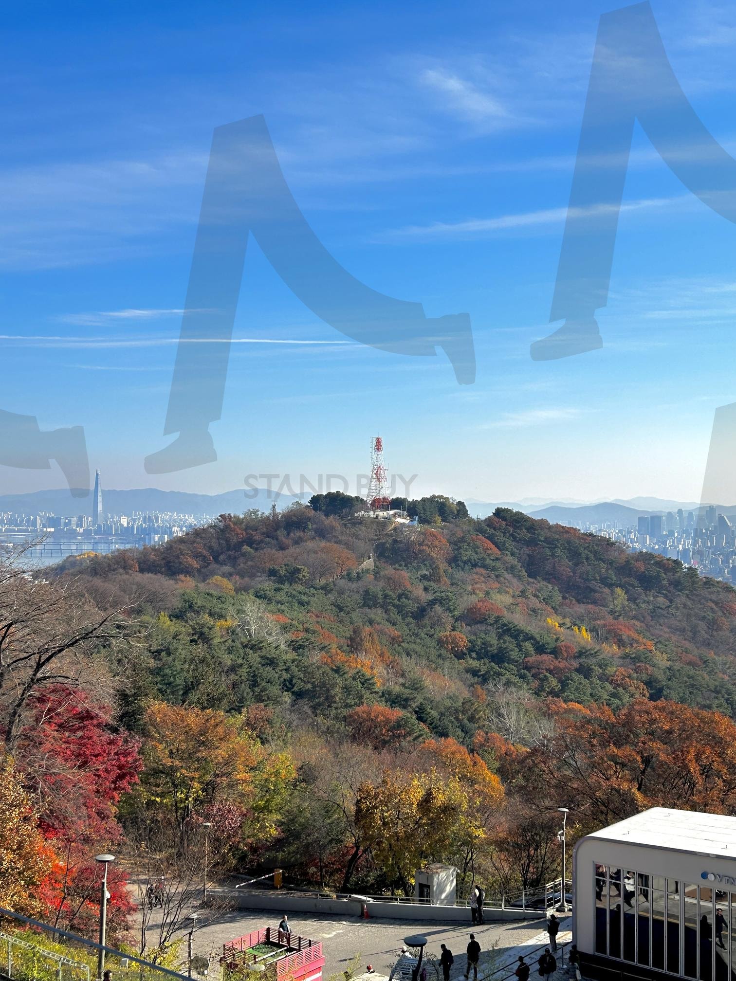 가을 남산 정상에서 | 가을, 남산, 하늘, autumn, 낙엽, 물든 나무들, 가을 나무, 나무 | 스탠바이 STANDBUY 디지털 콘텐츠