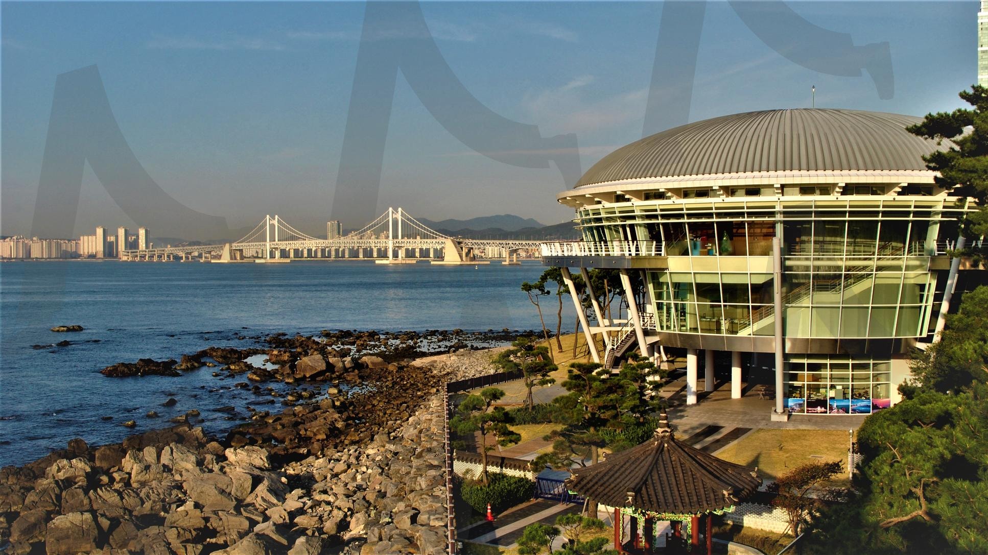 부산 누리마루 APEC | 부산, 누리마루, Apec, 바다, 자연, 풍경 | 스탠바이 STANDBUY 디지털 콘텐츠