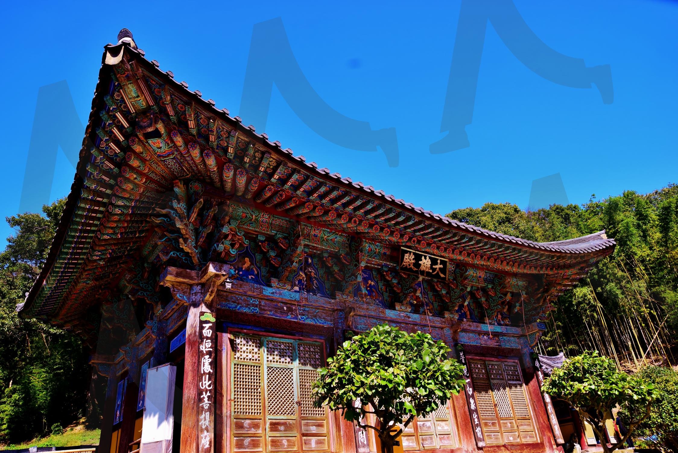 부산 기장 장안사 대웅전 | 부산, 기장, 장안사, 대웅전, 사찰, 절, 템플, 풍경 | 스탠바이 STANDBUY 디지털 콘텐츠