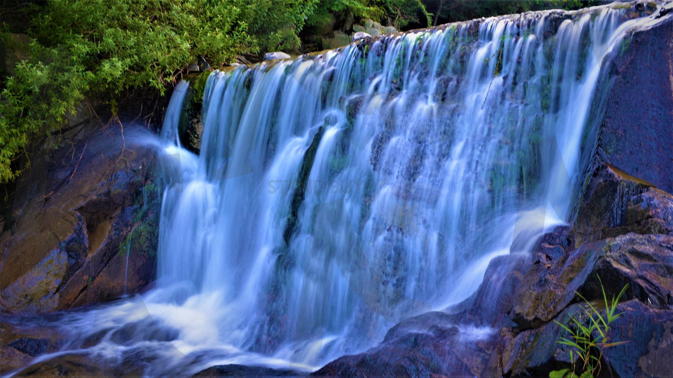 부산 해운대구 장산 대청계곡 | 부산, 해운대구, 장산, 대청계곡, 계곡, 자연, 산, 풍경, 사진 | 스탠바이 STANDBUY 디지털 콘텐츠