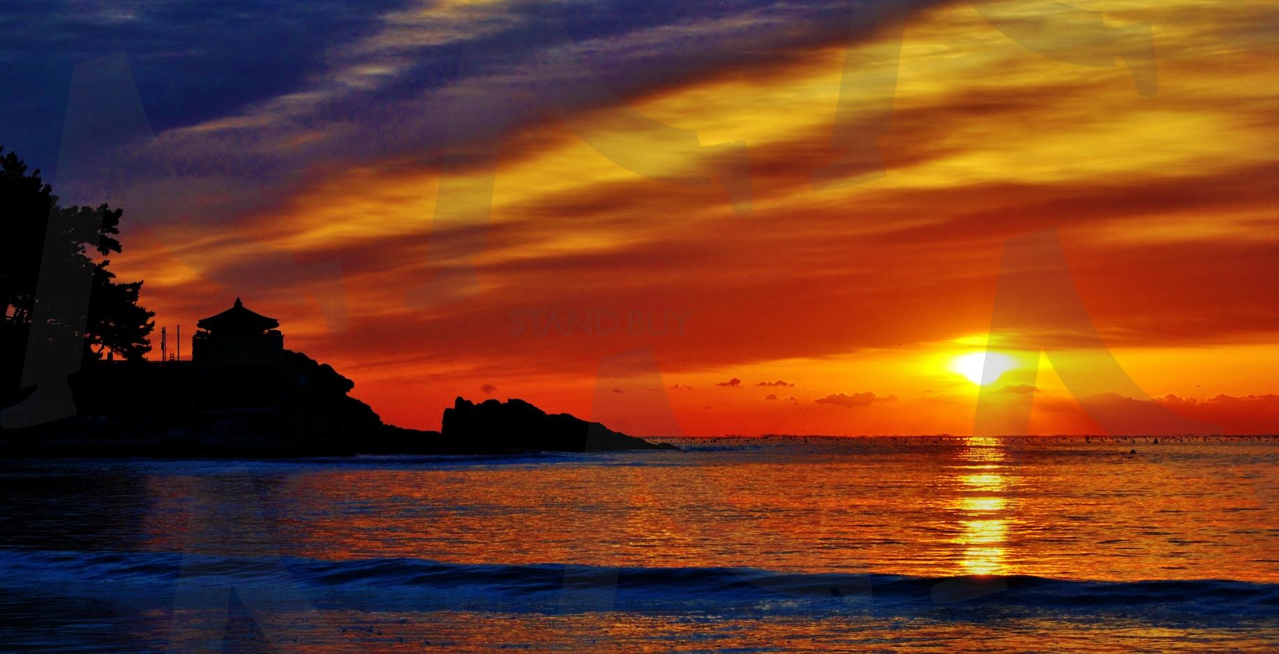 부산 바다 일출 | 부산, 해운대구, 바다, 일출, 송정, 기장, 주황, 오렌지 | 스탠바이 STANDBUY 디지털 콘텐츠