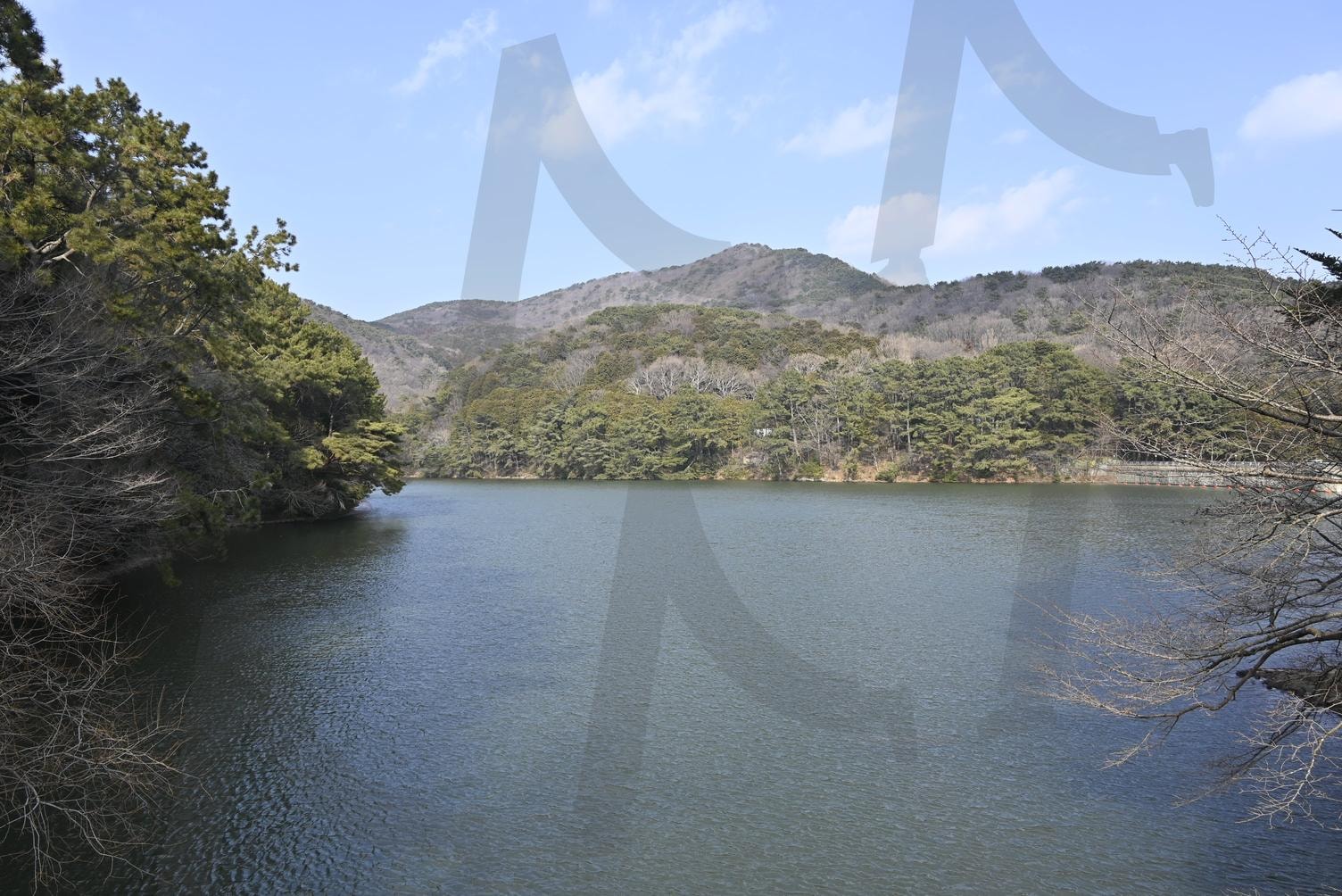 수원지 | 수원지, 어린이대공원, 부산, 겨울호수, 겨울 풍경 | 스탠바이 STANDBUY 디지털 콘텐츠