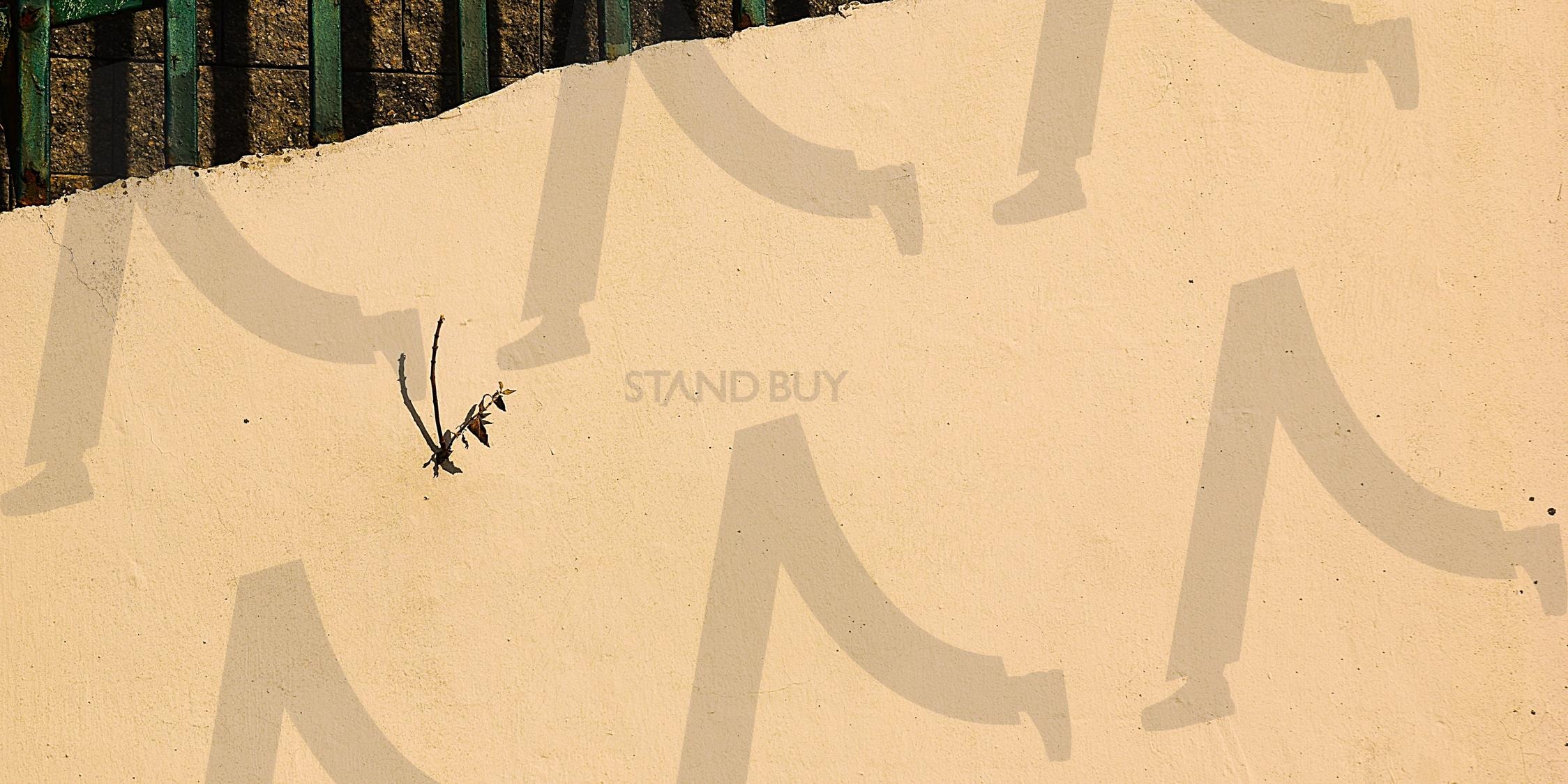 벽을 뚫고 자라는 나무 | 벽, 나무, 가지, 식물, 여백, 틈, 구멍, 잎 | 스탠바이 STANDBUY 디지털 콘텐츠