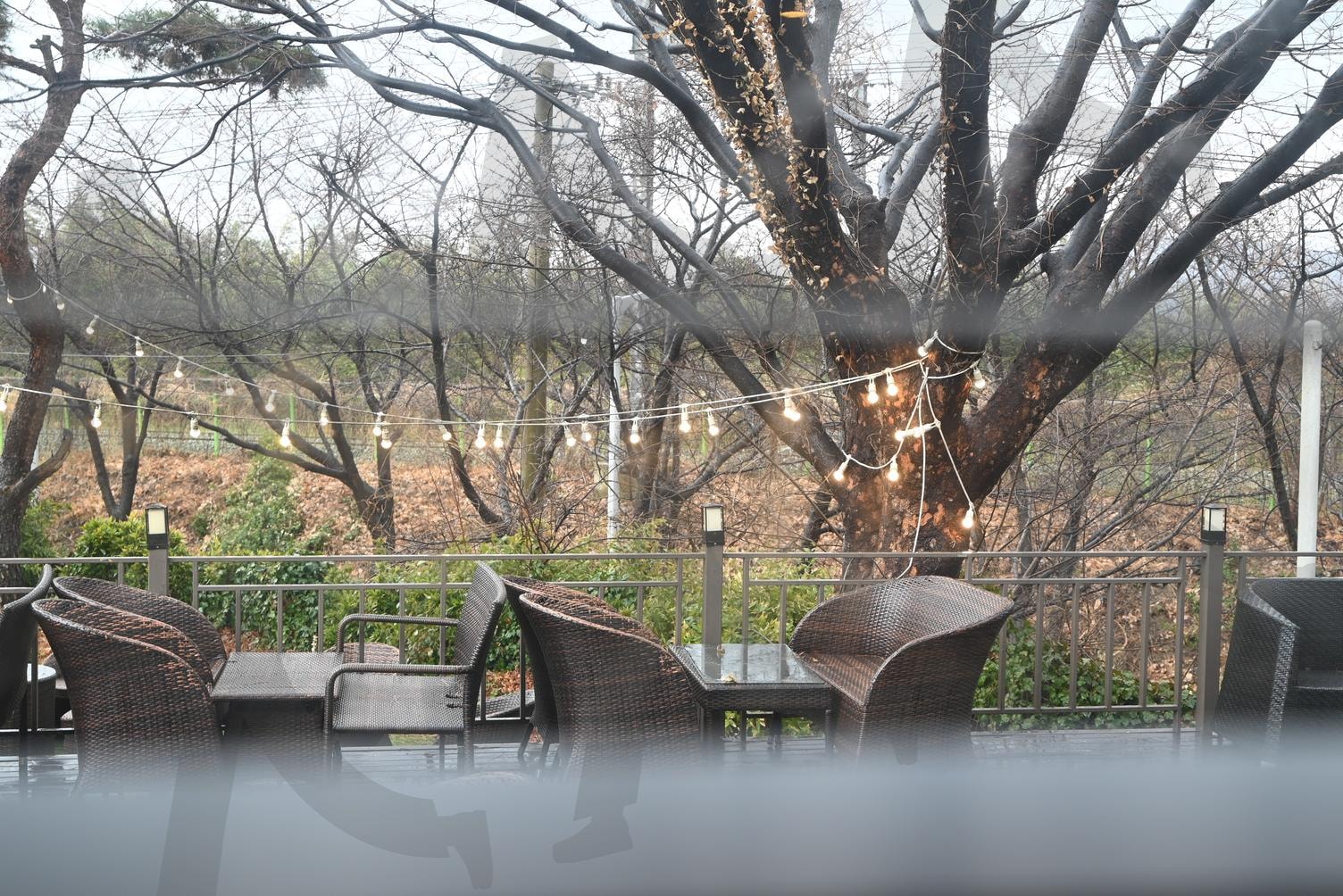 카페사진2 | 카페, 황산공원, 기찻길 카페, 비오는 카페, 라탄 카페 | 스탠바이 STANDBUY 디지털 콘텐츠