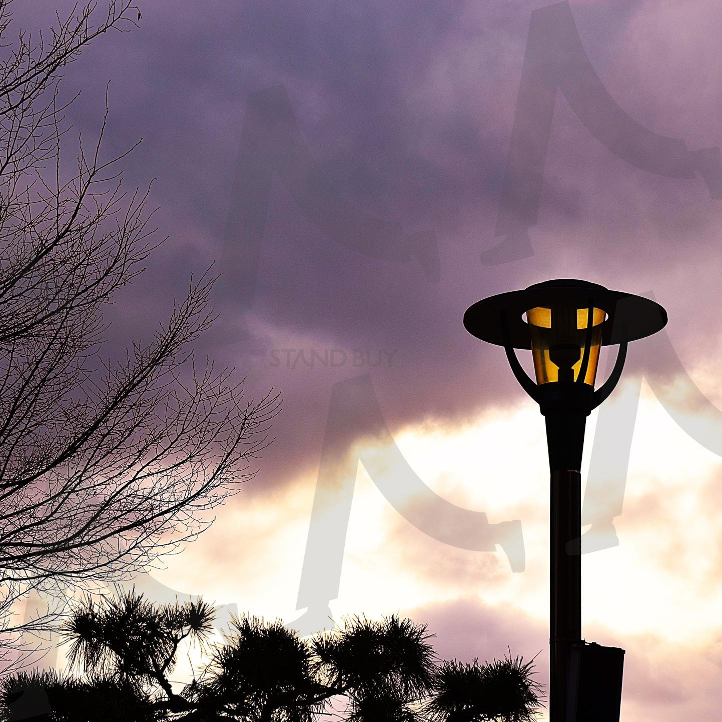 구름낀 하늘과 가로등 | 구름, 하늘, 먹구름, 날씨, 나무, 줄기, 가지, 가로등, 빛, 흐림 | 스탠바이 STANDBUY 디지털 콘텐츠