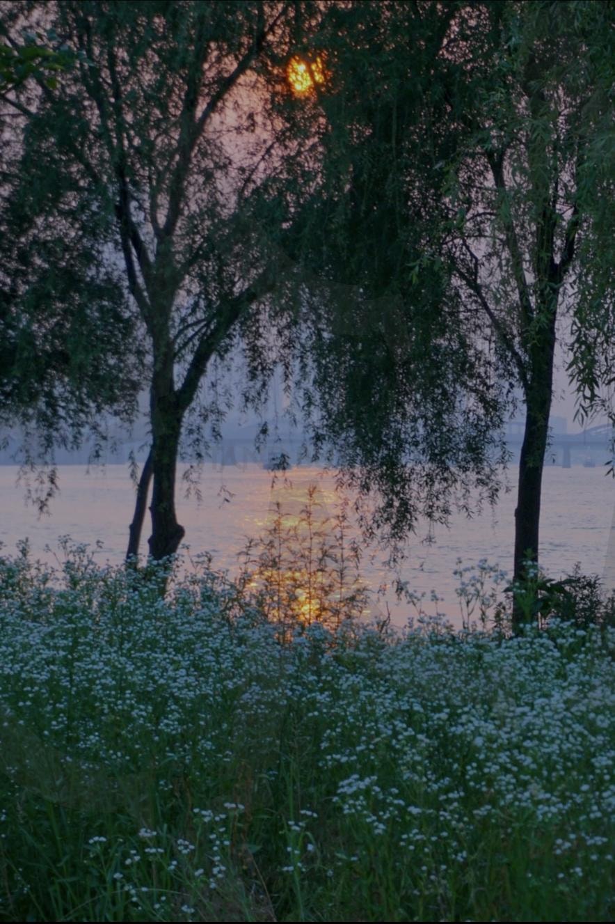 한강공원 윤슬 | 윤슬, 윤슬사진, 한강공원윤슬, 하우웨더엽서, 엽서사진, 풍경사진, 반포한강공원, 배경화면사진, 핸드폰배경화면사진, 감성사진 | 스탠바이 STANDBUY 디지털 콘텐츠