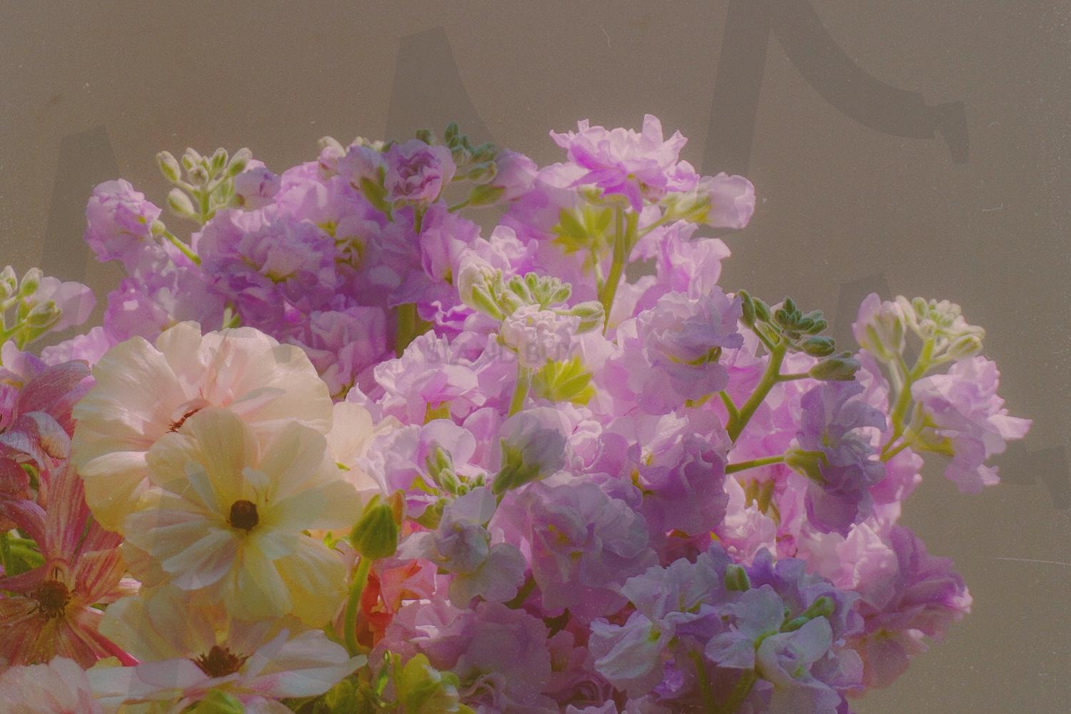 봄에는 꽃 | 감성꽃, 꽃사진, 꽃다발, 봄, 꽃감성사진, 감성사진, 배경화면, 핸드폰배경화면사진, 하우웨더엽서, 엽서사진, 서울 | 스탠바이 STANDBUY 디지털 콘텐츠