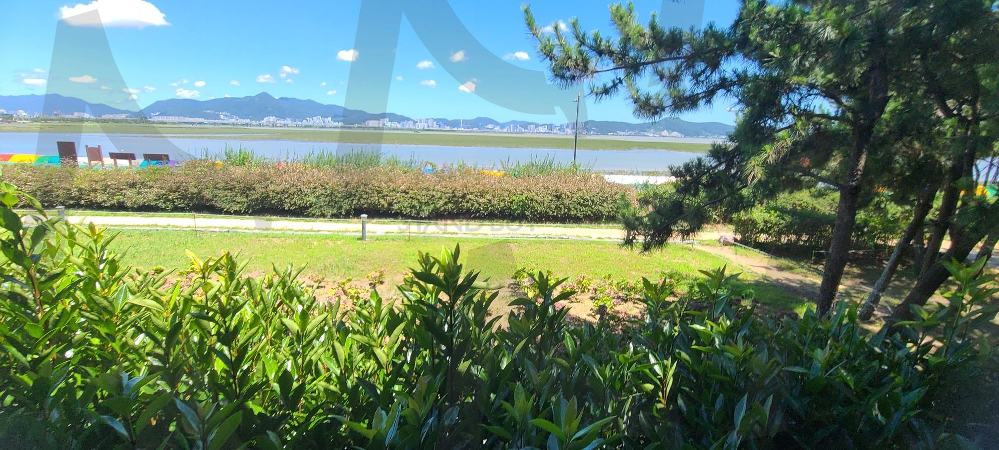 Spring Day Scenery in Korea ( Eulsukdo Ecological Park ) | Spring Day Scenery in Korea ( Eulsukdo Ecological Park ), Eulsukdo Ecological Park, 韓国の春, 韓国の川辺の風景, the landscape of the riverside of Korea | 스탠바이 STANDBUY 디지털 콘텐츠