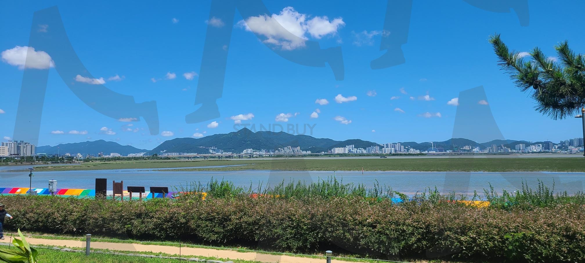 Spring Day Scenery in Korea ( Eulsukdo Ecological Park_02 ) | the landscape of the riverside of Korea, 韓国の川辺の風景, Eulsukdo Ecological Park, 韓国の春, Spring Day Scenery in Korea | 스탠바이 STANDBUY 디지털 콘텐츠