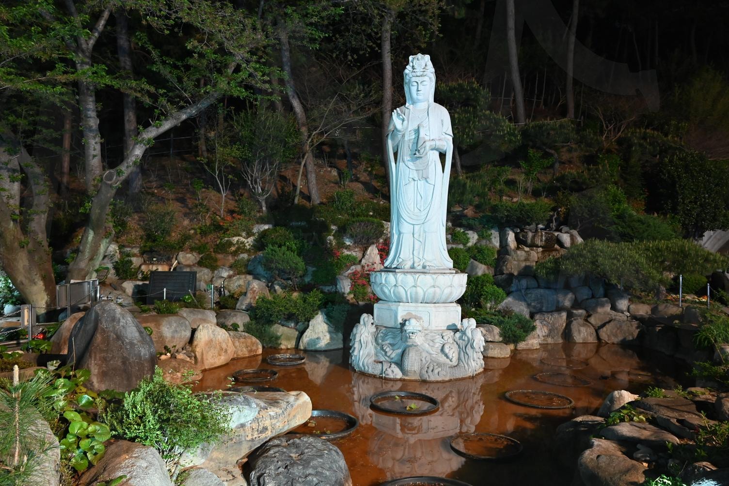 삼광사 약사여래상 | 삼광사, 약사여래상, 연못, 불상, 삼광사 연못 | 스탠바이 STANDBUY 디지털 콘텐츠