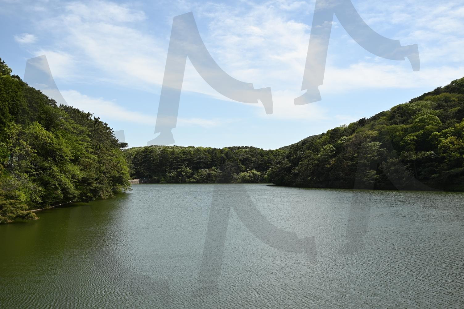 성지곡 수원지 부산 | 수원지, 부산, 성지곡, 어린이대공원, 푸른하늘 | 스탠바이 STANDBUY 디지털 콘텐츠