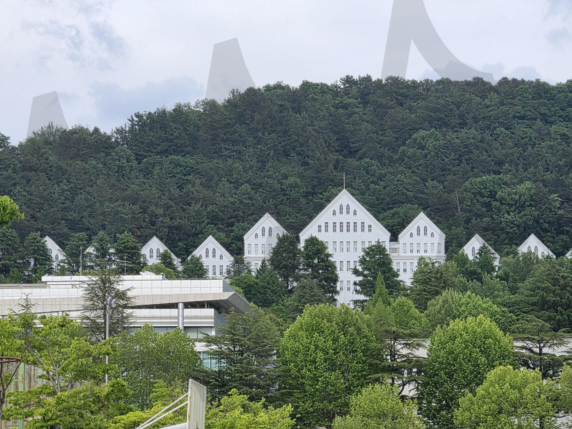 조선대학교전경 | 조선대학교, 조선대학교 풍경, 감성풍경, 광주명소, 자연풍경 | 스탠바이 STANDBUY 디지털 콘텐츠