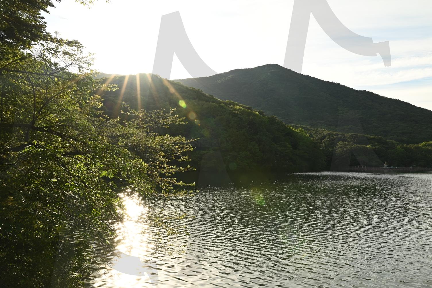 성지곡 수원지 부산 | 윤슬, 수원지, 부산, 성지곡, 어린이대공원 | 스탠바이 STANDBUY 디지털 콘텐츠