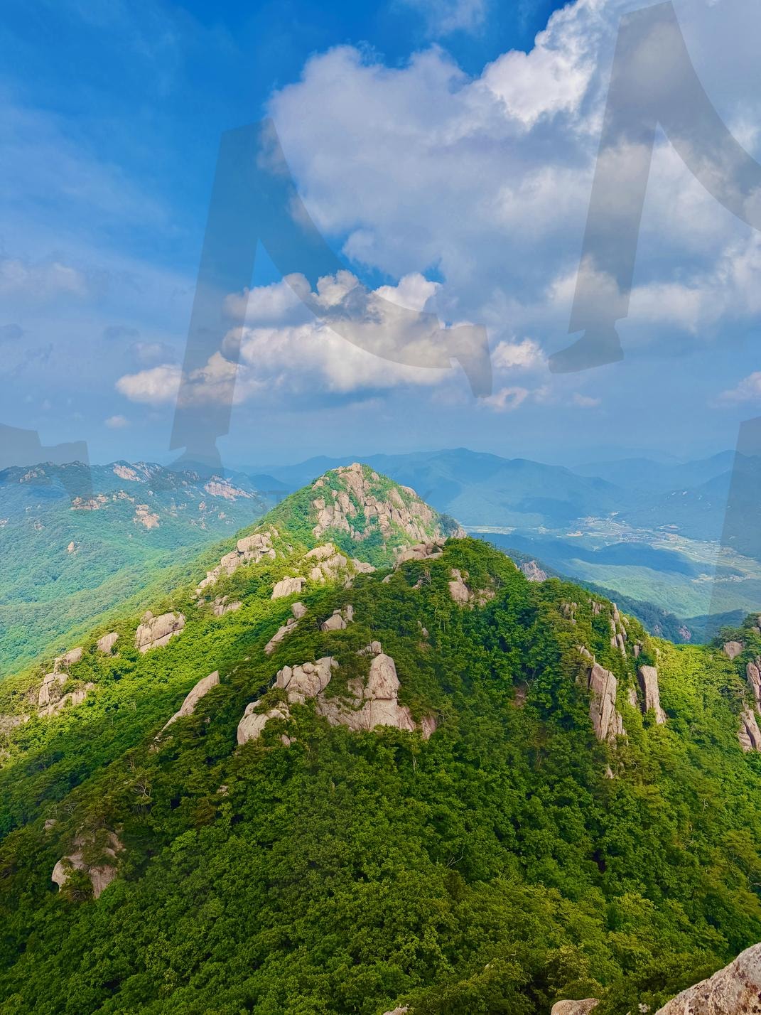 속리산 문장대에서 본 초록색으로 가득한 풍경 | 속리산, 충청북도, 풍경사진, 자연, 문장대, 보은군, 상주시, 여름풍경, 자연풍경, 속리산면, 초록색 | 스탠바이 STANDBUY 디지털 콘텐츠