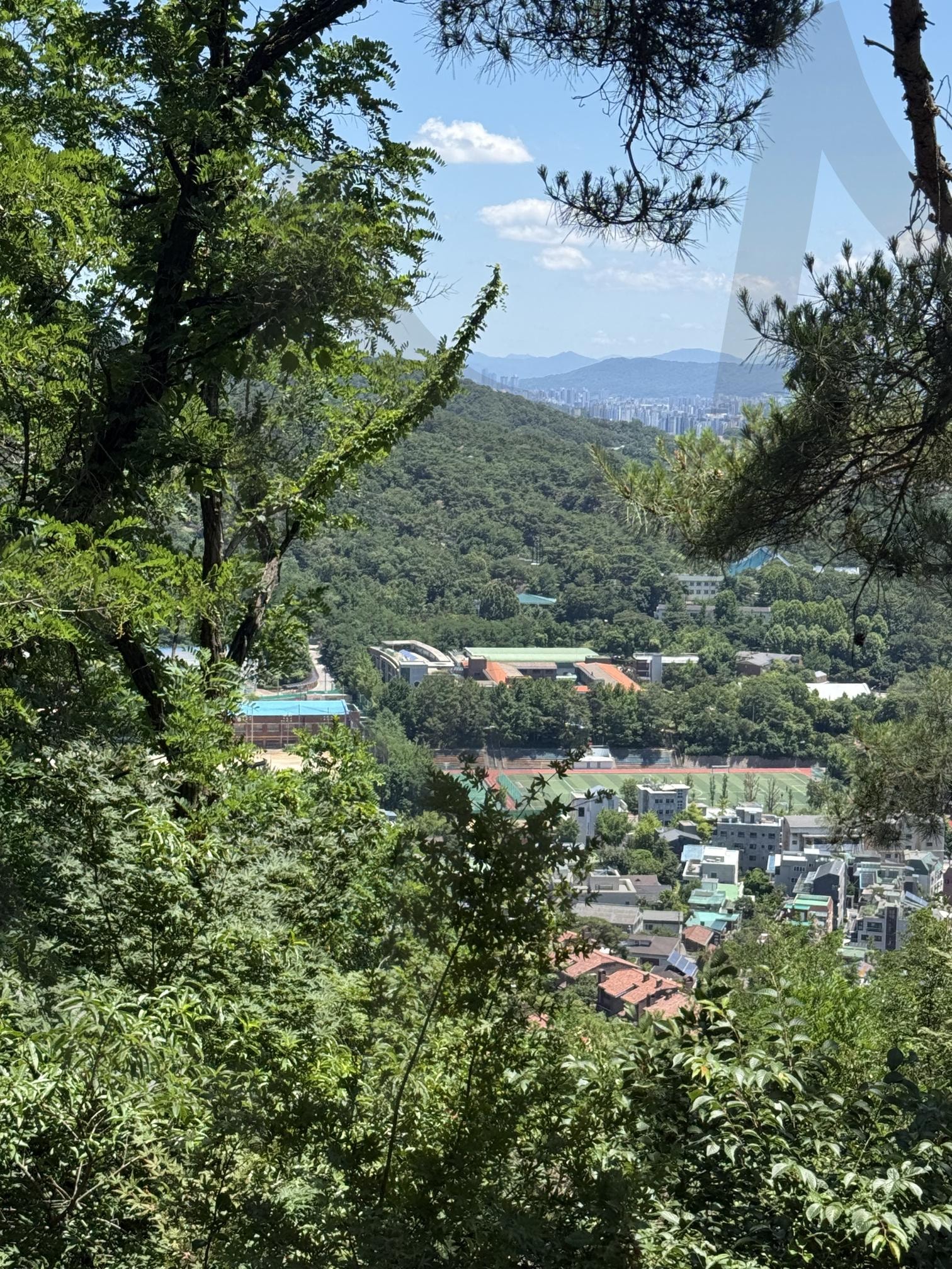 청운동올라가눈길 | 청운동, 윤동주문학관, 서울, 서울여행, 여행, 힐링, 여름, 초록, 숲, 종로구, summer, forest, seoul, healing | 스탠바이 STANDBUY 디지털 콘텐츠