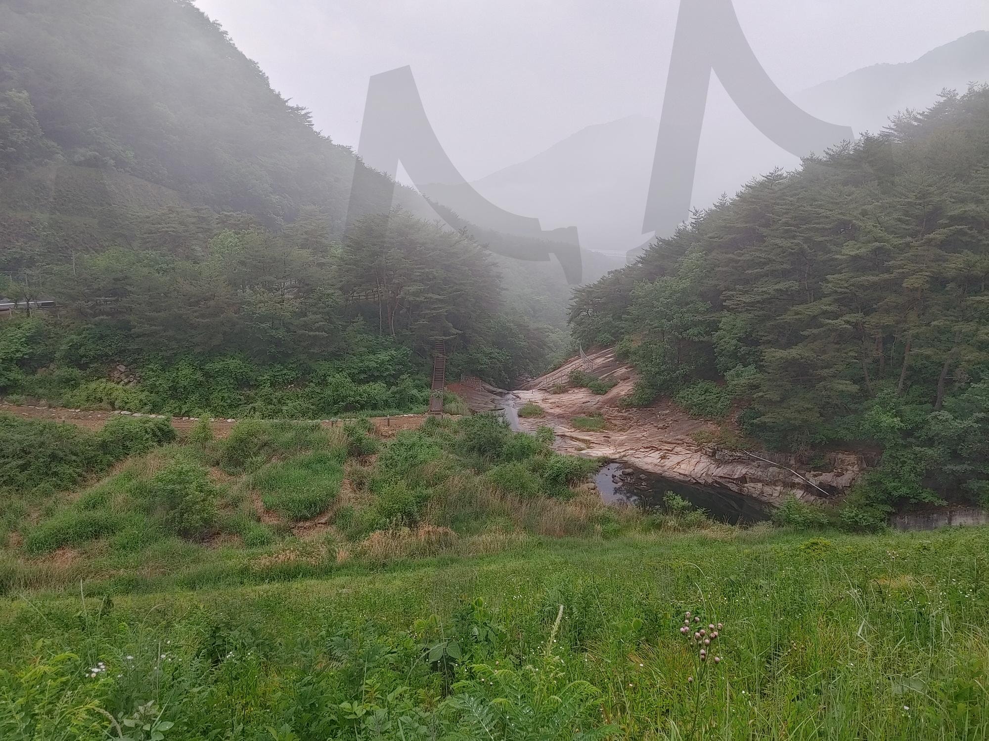 초록의 숨결이 머무는 길, 원풍의 오후 | 초록풍경, 평화로움, 원풍계곡, 일상기록, 자연의위로, 힐링감성, 산책 | 스탠바이 STANDBUY 디지털 콘텐츠