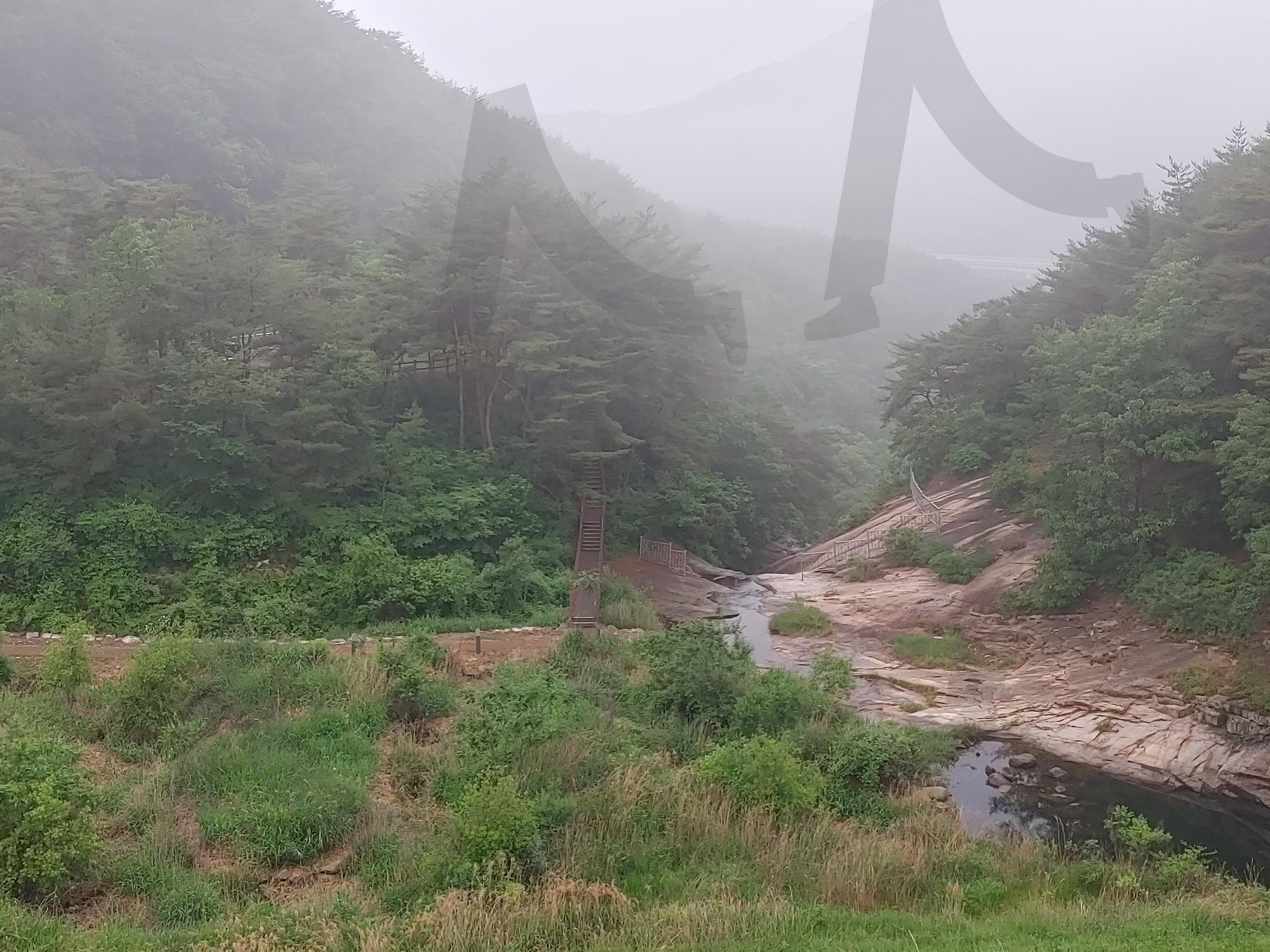 안개 속에 잠긴 숲, 원풍의 고요한 아침 | 안개숲, 몽환적, 원풍저수지, 비밀의숲, 힐링감성 | 스탠바이 STANDBUY 디지털 콘텐츠