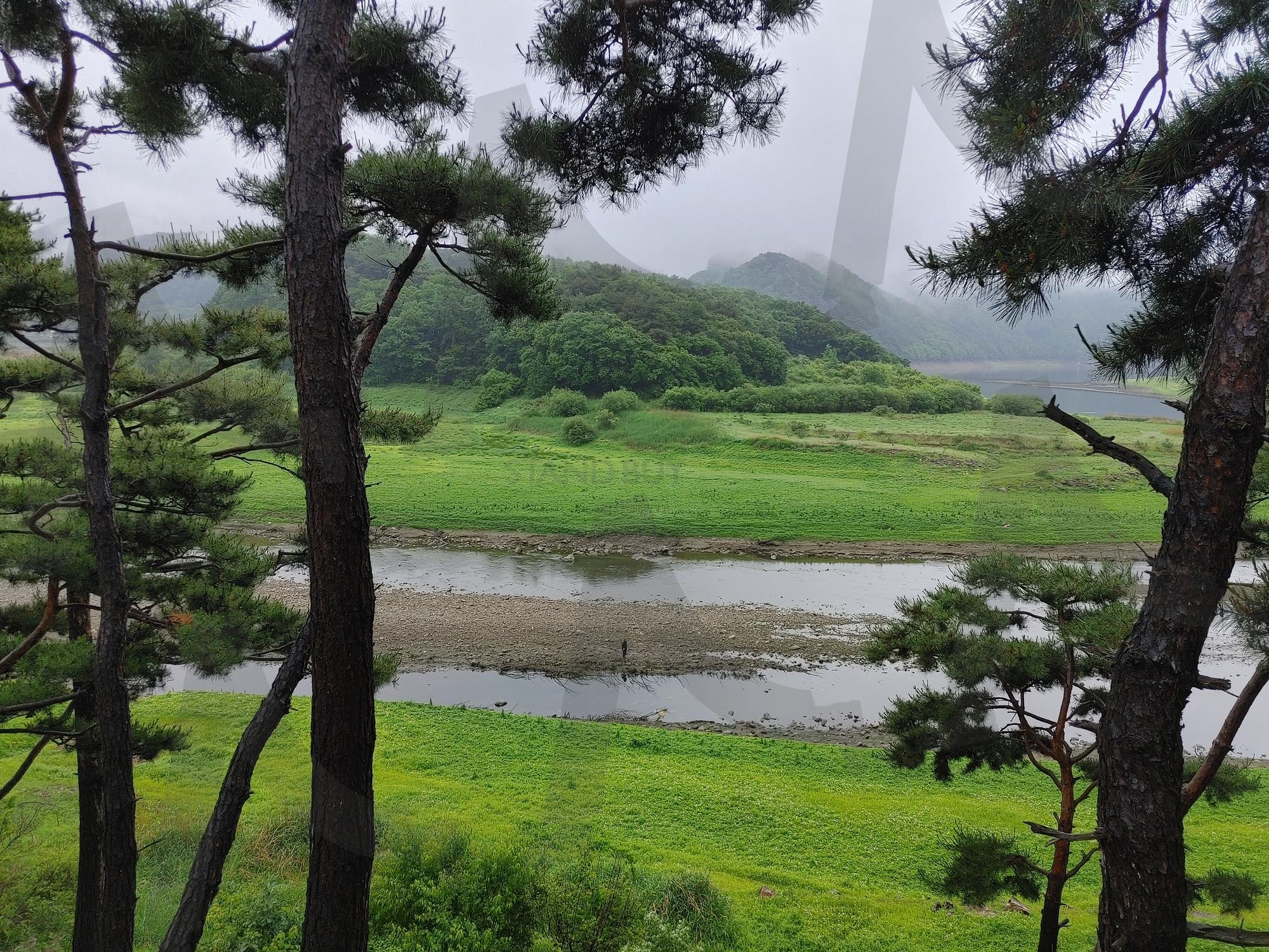 소나무 사이로 담아본 충주호의 푸른 숨결 | 충주호, 소나무, 습지, 자연풍경, 힐링여행, 풍경사진 | 스탠바이 STANDBUY 디지털 콘텐츠
