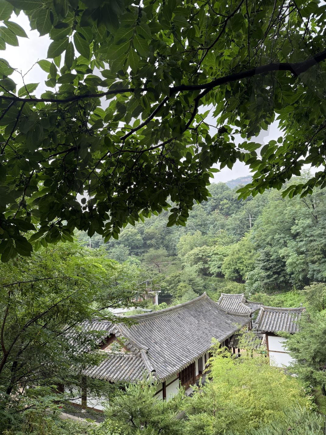 서울 청운문학한옥도서관 | 한옥, 서울, 한옥도서관, 청운동, 청운문학도서관, seoul, Seoul tour, tour, library, 중구 | 스탠바이 STANDBUY 디지털 콘텐츠