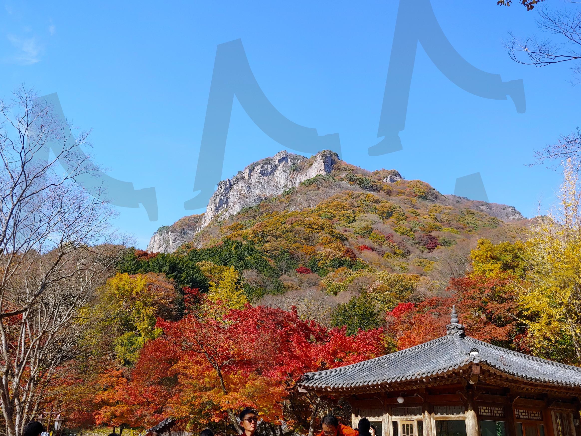 단풍산 | 산, 단풍, 가을, 힐링, 감성, 숲, 돌, 나무, 풍경, 배경 | 스탠바이 | STANDBUY
